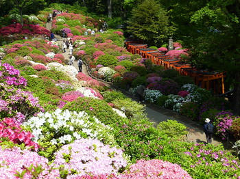 20100418 009.jpg